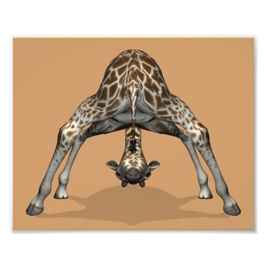 Flexible Giraffe Fotodruck (Vorne)