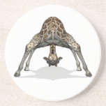 Flexible Giraffe Getränkeuntersetzer<br><div class="desc">Hintergrundfarbe kann geändert werden - IHN EINSTELLEN - BEARBEITEN - HINTERGRUND hübsches akrobatisches Tier,  muss eine Wirbelsäule aus Pudding haben - versuchen,  die Welt aus einem anderen Blickwinkel zu sehen oder einfach nur herumzutäuschen</div>