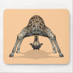 Flexible Giraffe Mousepad<br><div class="desc">Hintergrundfarbe kann geändert werden - IHN EINSTELLEN - BEARBEITEN - HINTERGRUND hübsches akrobatisches Tier,  muss eine Wirbelsäule aus Pudding haben - versuchen,  die Welt aus einem anderen Blickwinkel zu sehen oder einfach nur herumzutäuschen</div>