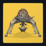 Flexible Giraffe Quadratische Wanduhr<br><div class="desc">Background Color can be changed - CUSTOMIZE IT - EDIT - BACKGROUND
 pretty acrobatic animal,   must have a spine made of pudding - trying to see the world from a different angle or just fooling around</div>
