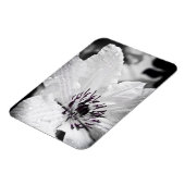Flexible Magnet - Blume von White Clematis (Linke Seite)