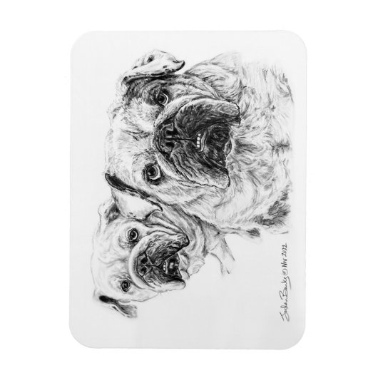 Flexible Magnet der Bald Divas! (Vertikal)