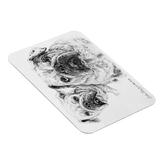 Flexible Magnet der Bald Divas! (Rechte Seite)