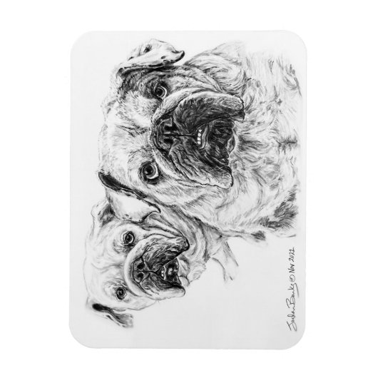 Flexible Magnet der Bald Divas! (Vertikal)