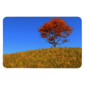 Flexible Magnet für den Herbsttag löschen (Horizontal)