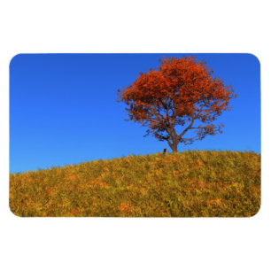 Flexible Magnet für den Herbsttag löschen