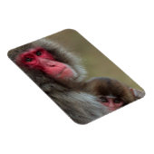 Flexible Magnet für japanische Macaque-Affen (Rechte Seite)