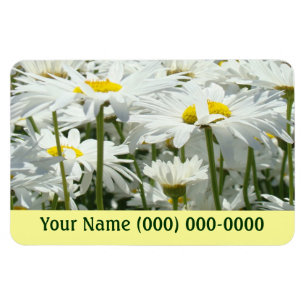 Flexible Magneten, die Ihr Namenstelefon Magnet