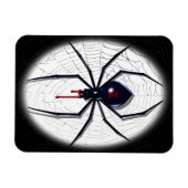 Flexible Magnetköpfe der Black Widow Spider Magnet (Horizontal)