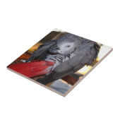 Flexibler afrikanisches Grau-Papagei des Kongos Fliese (Seite)