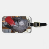 Flexibler afrikanisches Grau-Papagei des Kongos Gepäckanhänger (Vorderseite horizontal)