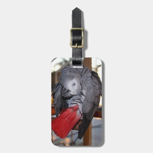 Flexibler afrikanisches Grau-Papagei des Kongos Gepäckanhänger (Vorderseite vertikal)
