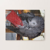 Flexibler afrikanisches Grau-Papagei des Kongos Puzzle (Horizontal)