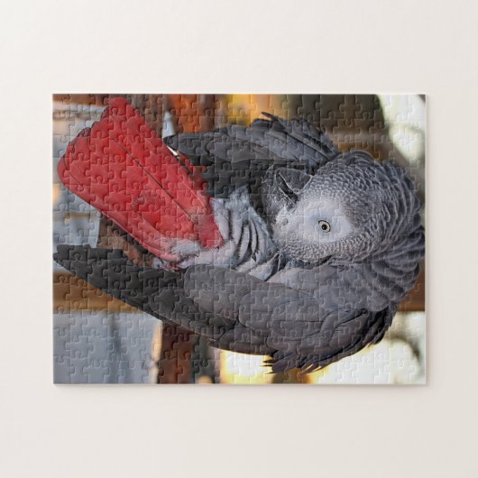 Flexibler afrikanisches Grau-Papagei des Kongos Puzzle (Horizontal)