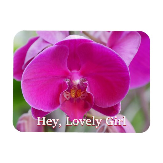 Flexibler Foto-Magnet Magnet (Horizontal)