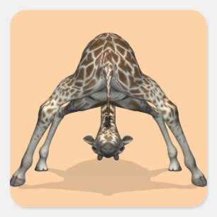 Flexibler Giraffe Quadratischer Aufkleber
