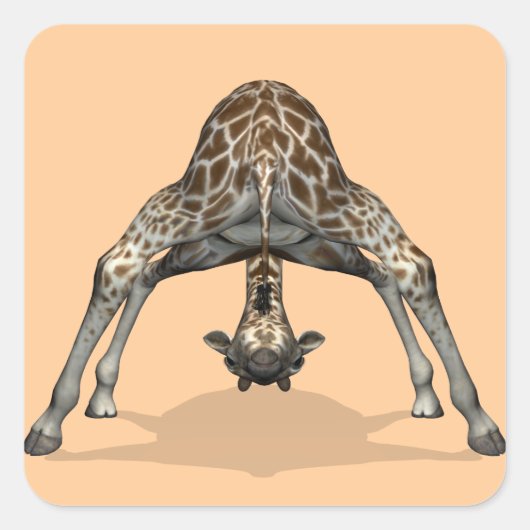 Flexibler Giraffe Quadratischer Aufkleber (Vorderseite)