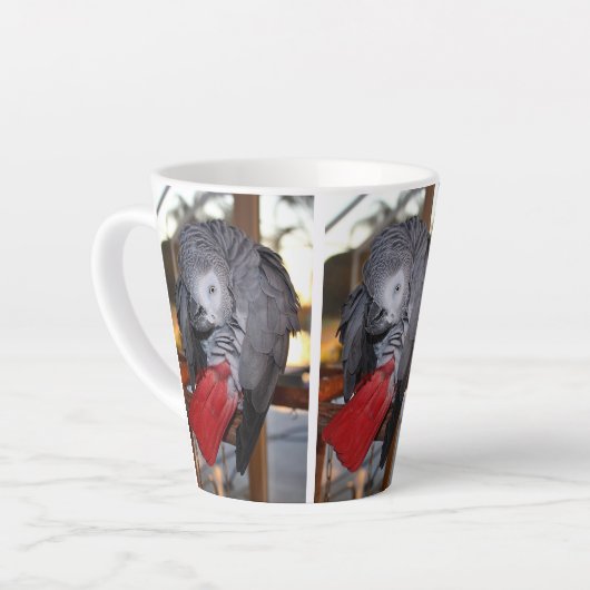 Flexibler Kongo Afrikanischer Grau-Papagei mit rot Milchtasse (Linke Ecke)