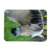 Flexibler Magnet für Pferde (Horizontal)