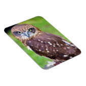 Flexibler Owl Magnet (Rechte Seite)