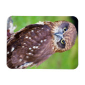 Flexibler Owl Magnet (Horizontal)
