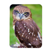 Flexibler Owl Magnet (Vertikal)