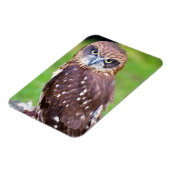 Flexibler Owl Magnet (Linke Seite)