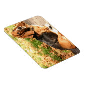 Flexibles Basset-Hound-Magnet setzen Magnet (Rechte Seite)