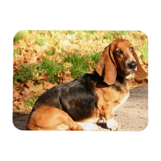 Flexibles Basset-Hound-Magnet setzen Magnet (Horizontal)