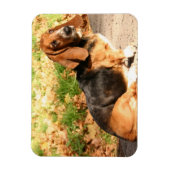 Flexibles Basset-Hound-Magnet setzen Magnet (Vertikal)