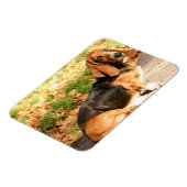 Flexibles Basset-Hound-Magnet setzen Magnet (Linke Seite)