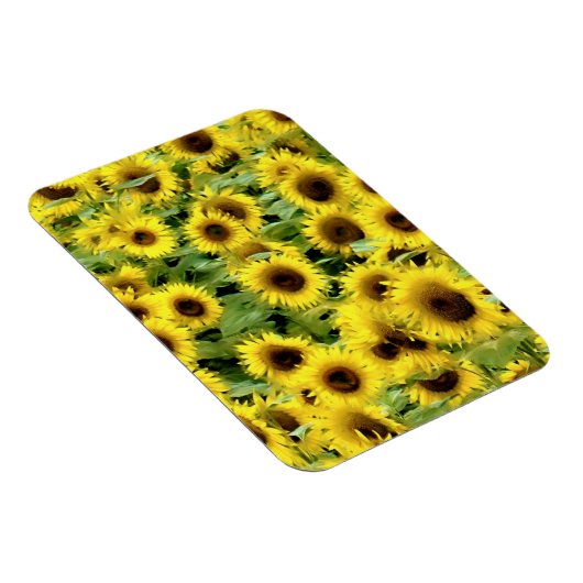 Flexibles Foto Magnet (Rechte Seite)