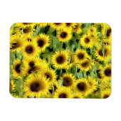 Flexibles Foto Magnet (Horizontal)