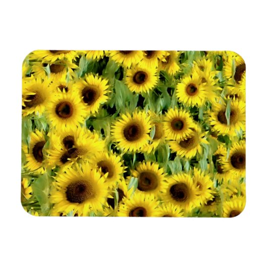 Flexibles Foto Magnet (Horizontal)