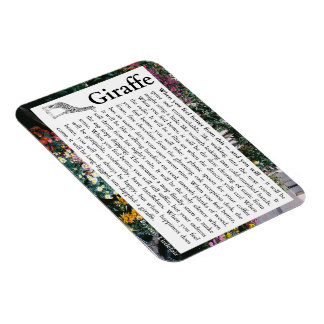 Flexibles Foto Magnet