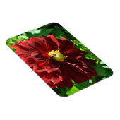 Flexibles Foto Magnet (Rechte Seite)