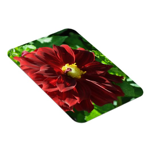 Flexibles Foto Magnet (Rechte Seite)