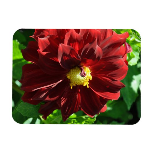 Flexibles Foto Magnet (Horizontal)