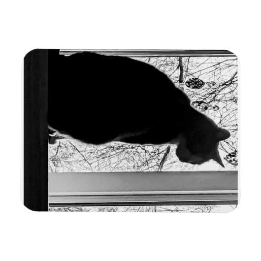 Flexibles Foto Magnet (Horizontal)