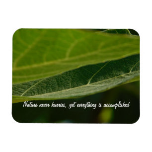 Flexibles Foto-Magnet "Baumblatt" Magnet
