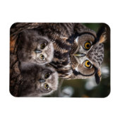 Flexibles Foto-Magnet der Owl Family Magnet (Horizontal)