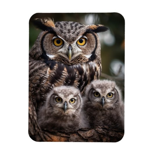 Flexibles Foto-Magnet der Owl Family Magnet (Vertikal)
