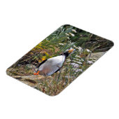 Flexibles Foto Magnet des Puffins (Linke Seite)