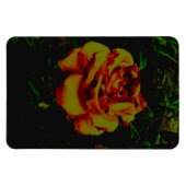 Flexibles Foto Magnet Golden Öko (Horizontal)