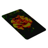 Flexibles Foto Magnet Golden Öko (Rechte Seite)