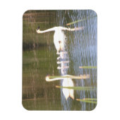 Flexibles Magnet für White Swan (Vertikal)