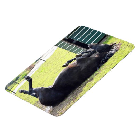 Flexibles Pferdemagnet Magnet (Linke Seite)