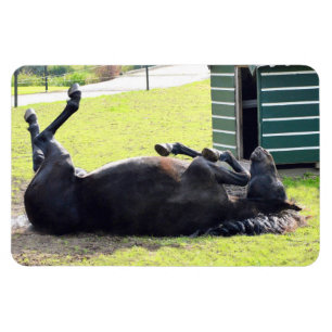 Flexibles Pferdemagnet Magnet