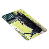 Flexibles Pferdemagnet Magnet (Rechte Seite)