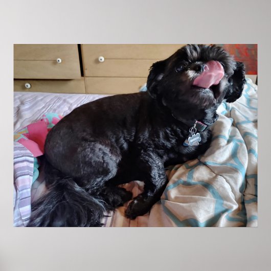 Flicker der Zunge Poster (Vorne)